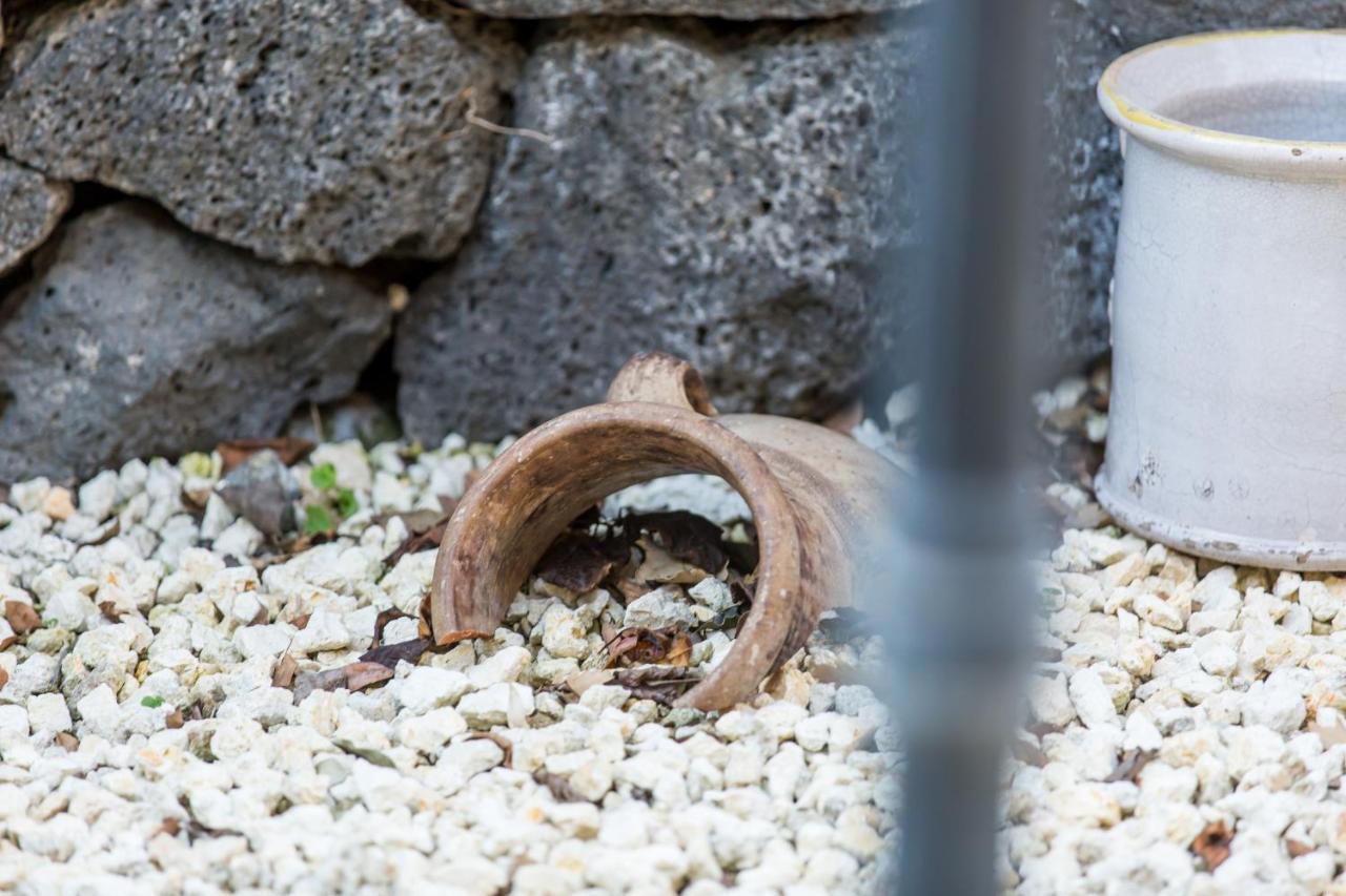 Gli Ulivi Dell'Etna Hotel Linera Luaran gambar
